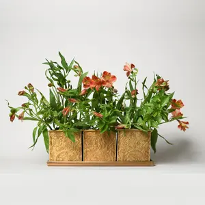 Brass Planter Set of 3 | Handcrafted Indoor Planters