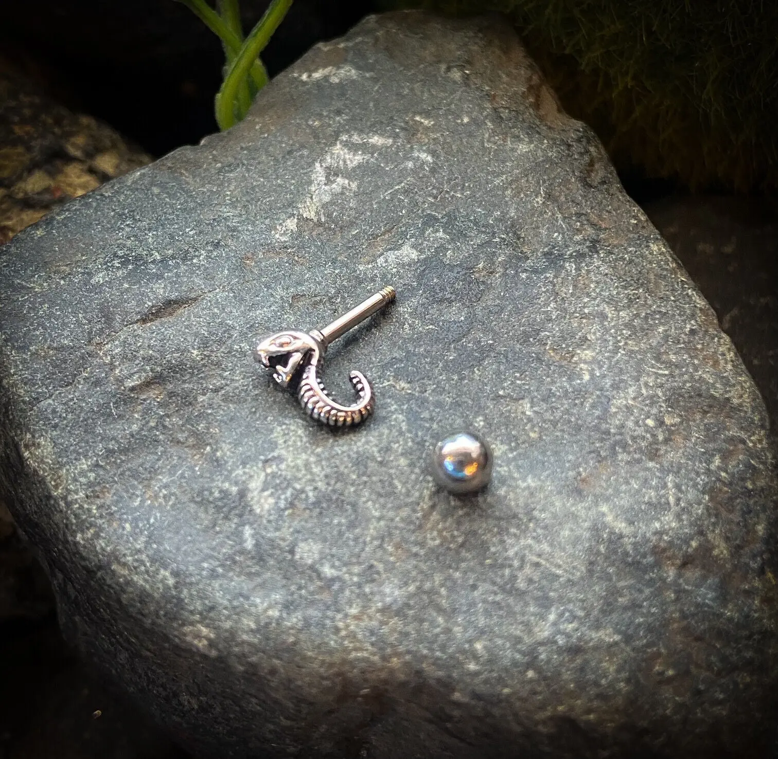 Hissing Snake Silver Plated Surgical Steel Tragus Helix Ear Cartilage Stud Ring