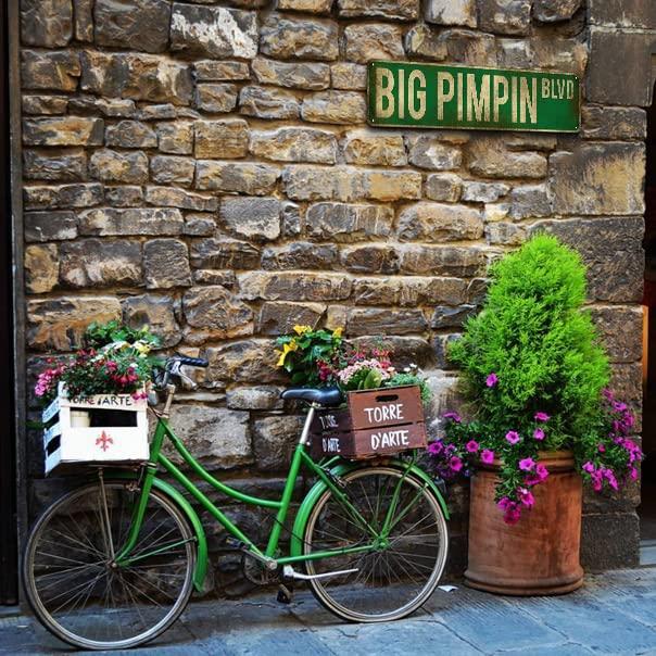 Vintage Big Pimpin Boulevard Metal Street Tin Sign 16x4 Inch Iron Poster for Home Farmhouse Bar Cafe Garage Indoor/Outdoor Gift - Plaques