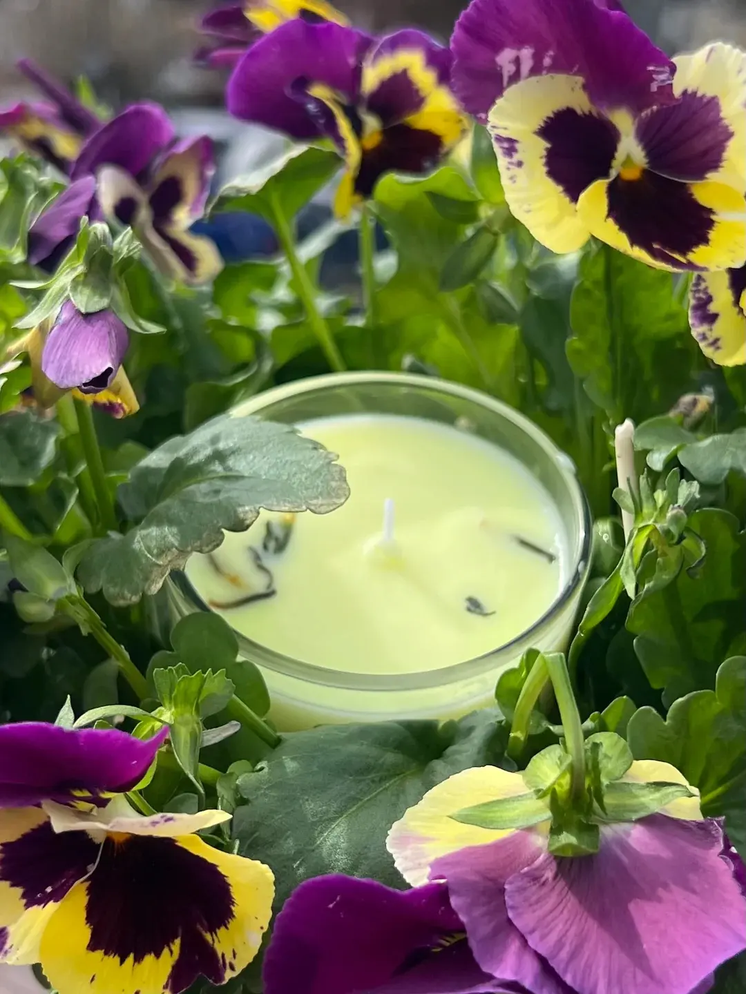 Birch + Lily Candle - Native American handcrafted natural non-gmo organic ethically sourced