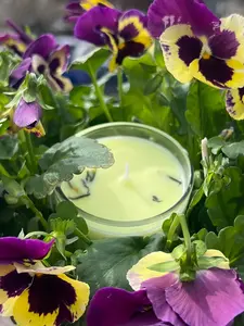 Birch + Lily Candle - Native American handcrafted natural non-gmo organic ethically sourced