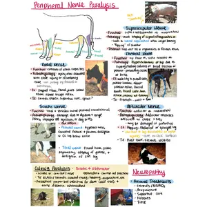 Large Animals Notes for NAVLE