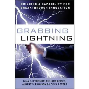 USED-Grabbing Lightning: Building a Capability for Breakthrough Innovation by O'Connor, G. C. (Hardcover)