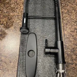 Kitchen faucet