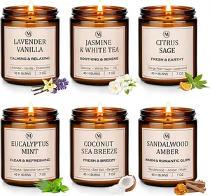 6-Pack Scented Soy Candle Set – Lavender Vanilla, Eucalyptus, Sandalwood, Jasmine & White Tea, Coconut, Sage | Natural Soy Wax Spring Summer Aromatherapy Candles for Home, Vacation, Relaxation & Spa JGXLQ