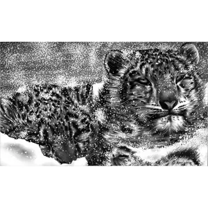 Snow Leopard