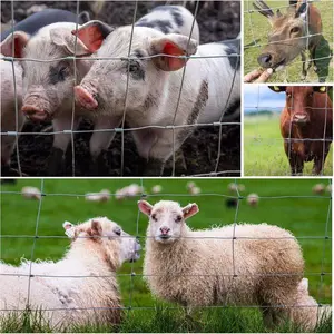 Farm Fence 3ft x 164ft 14Gauge Heavy Zinc Coating Cattle Fence,Galvanized Field Wire Fencing Deer Fence,Goat Fence,Hog Wire Fencing for Yard Livestock & Animals Protection