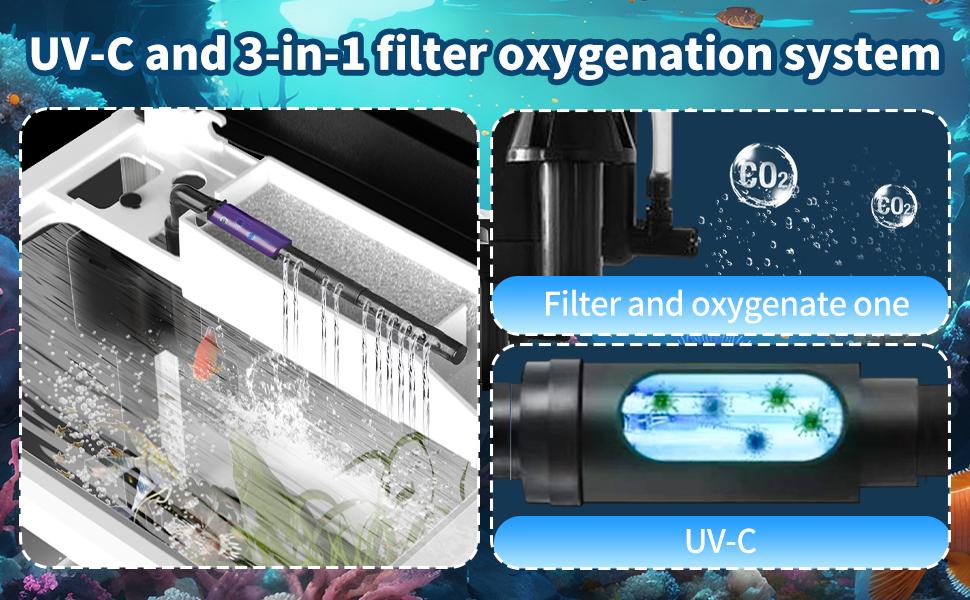 3 Gallon Fish Tank, Small Smart Aquarium with Filter, 7 LED Light,Temperature Display Suitable for Betta, Shrimp, Goldfish,Guppy Small Fish with Fish Net