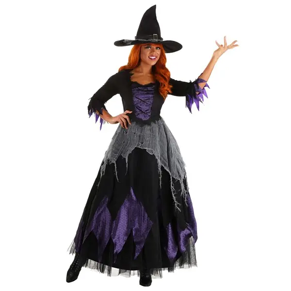 Women's Midnight Purple Witch Costume