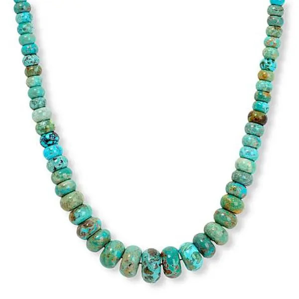 Mine Finds by Jay King Spruce Mountain Turquoise Bead 18" Necklace