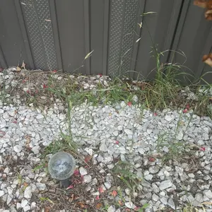 review image 6