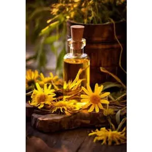 Arnica Essential Oil | Warm, Woody