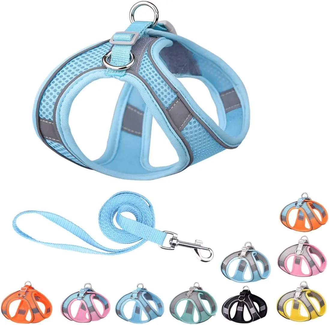 Blue Dog Harness for Small Dogs, No-Pull Puppy Harness and ith Leash for Easy Walk, Breathable Mesh Reflective Cat Vest for XXS Xs Small Medium Breed Pet Dogs
