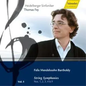 Thomas Fey - Symphonies 3: String Symphonies  [COMPACT DISC - CD]