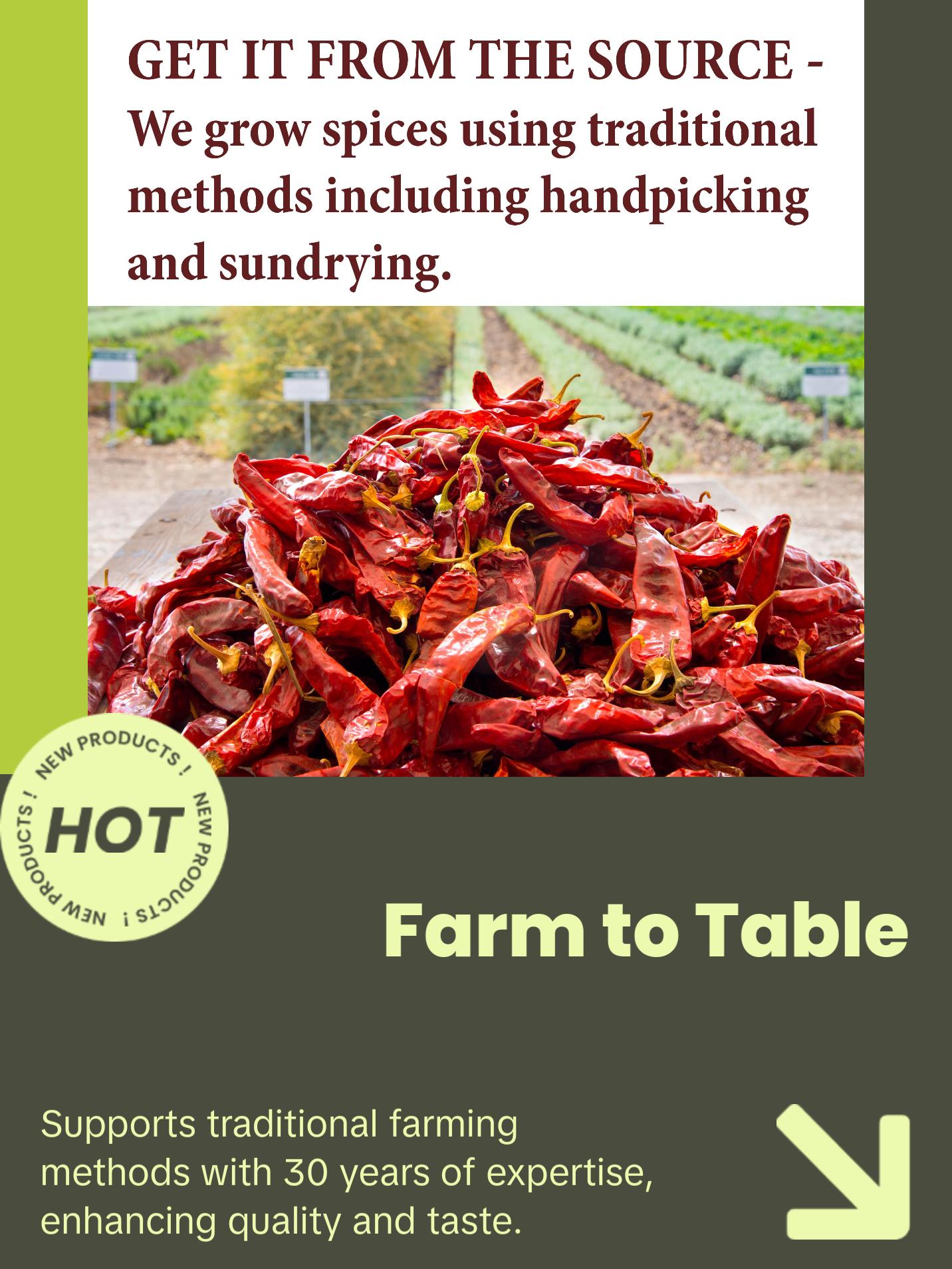 The Spice Way New Mexico Chili Powder - Pure & Premium Cayenne Pepper Seasoning - Oil Free Non-GMO