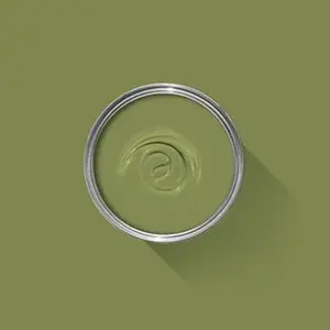 Farrow & Ball Archived Sap Green NO.W56 🚚 Free Shipping!