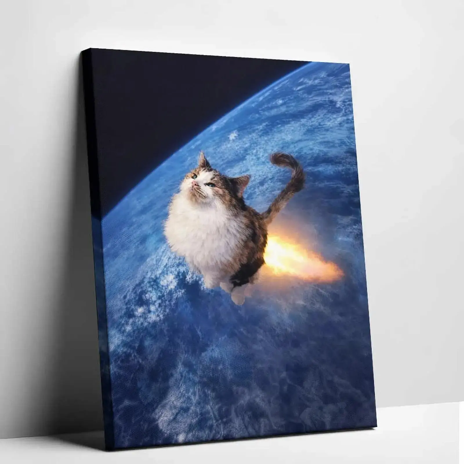 Funny Space Rocket Cat Meme Canvas Print - Humorous Artistic Space Galaxy Design, High-Quality Print, Cute Animal Illustration, Living Room Home Decor, Sohochic Posters