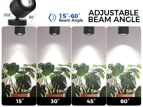 Barrina TR40a Track Plant Lights for Indoor Growing, 40W Ceiling Grow Lights with Adjustable Beam Angle (15°-60°), 5000K Full Spectrum Wall Plant Light with Timer for Greenhouse, Black Cover Barrina TR40a Track Plant Lights for Indoor Growing, 40W Ceiling Grow Lights with Adjustable Beam Angle (15°-60°), 5000K Full Spectrum Wall Plant Light with Timer for Greenhouse, Black Cover