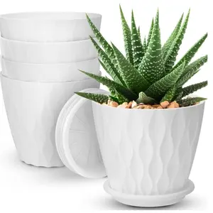 6 inch Plant Pots 5 Pack Flower Pot Outdoor Indoor Planters with Drainage Hole and Tray Saucer