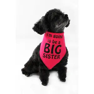 Midlee I'm Going to be a Big Sister Dog Bandana