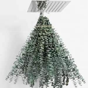 30 Pcs Eucalyptus for Shower Hanging Dried Eucalyptus Stems 17" Real Eucalyptus 100% Made from Fresh Eucalyptus Leaves Wedding Decor Home Decor Farmhouse Decor DIY Spring Decor,Green. Dried Flowers