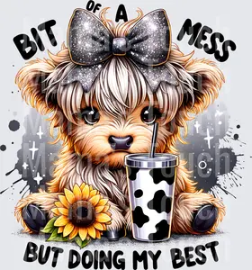 bit of a mess bit of a mess