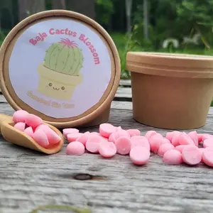 Baja Cactus Blossom Scoopies