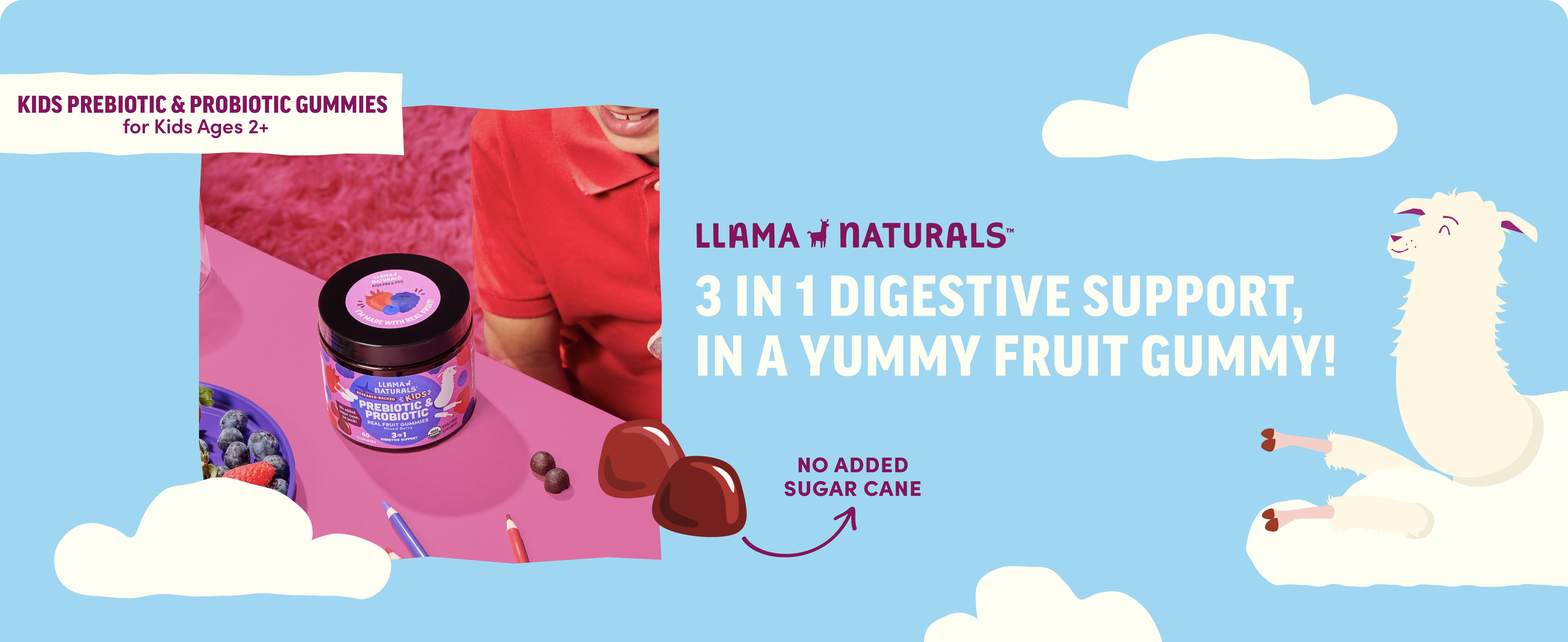 Llama Naturals Kids Probiotic with Prebiotic Fiber, Vegan, Organic Prebiotics and Probiotics Gummies for Gut Health Support, Real Fruit Gummy Vitamins, No Added Sugar Cane, Mixed Berry, 60 Ct