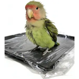 Disposable Bird Cage Liner Bags 100-Pack - 23"x19" Oversized Plastic Tray Covers | Loose Wrap Design for Easy Install | Fits Most Small to Large Cages | Leakproof & Tear-Resistant