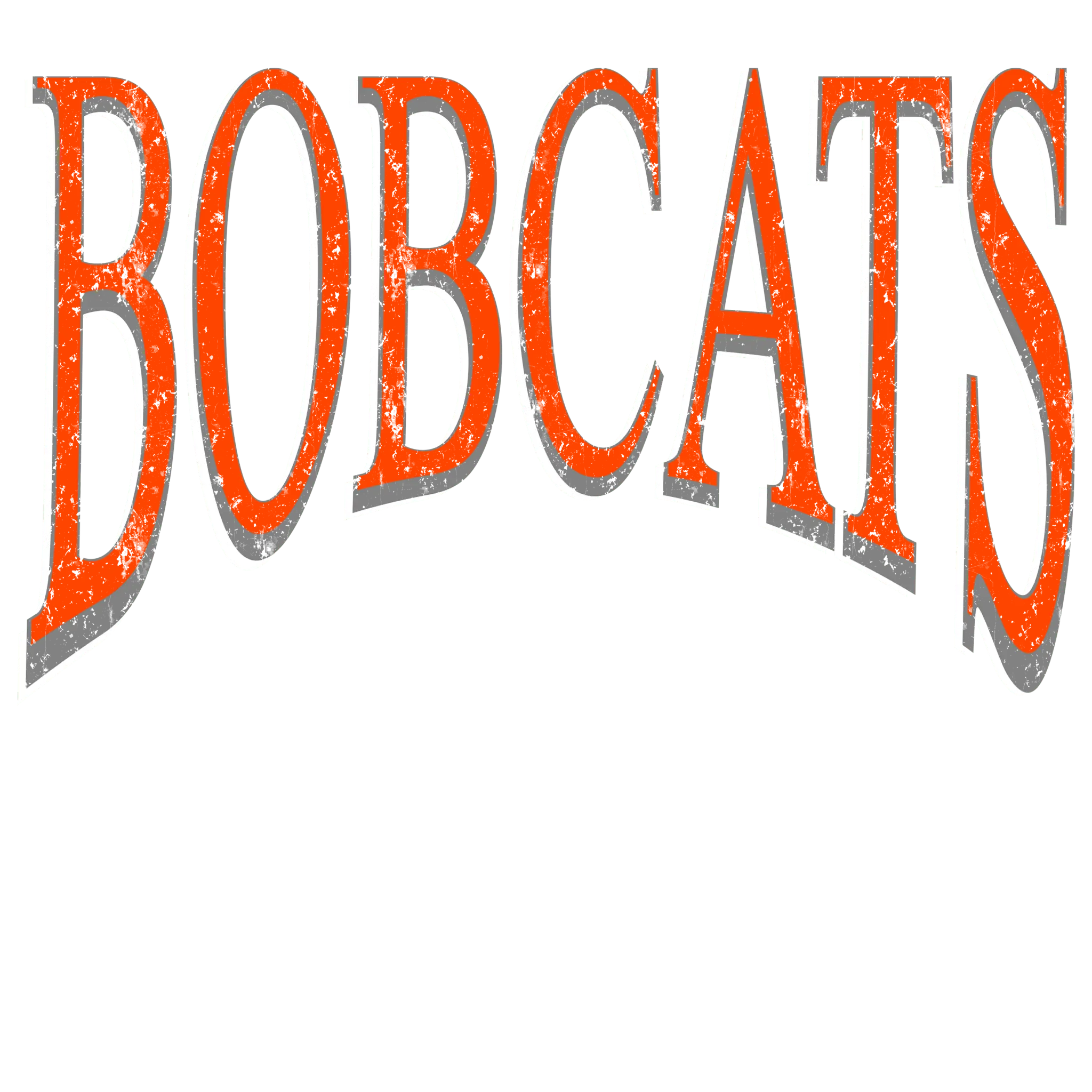 Bobcats Times DTF Transfer