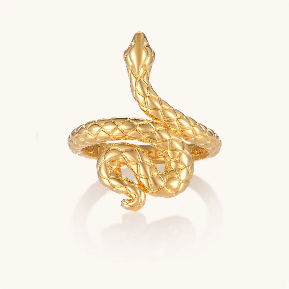 Rebirth and Renewal - Snake Ring - Mantra Jewelry for Women