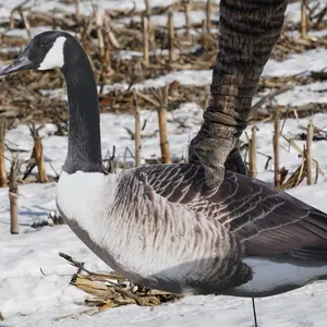 Phantom Decoys Canadian Geese Silhouettes