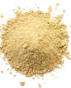 Ginger Root Powder – Raw Botanical Powder – Natural Plant Material
