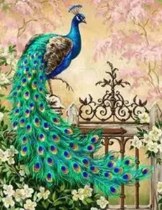 Peacock Diamond Painting DP 30x40
