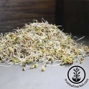 3 Part Salad Mix (Organic) - Sprouting Seeds