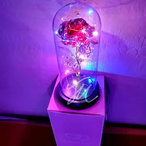 Red galaxy rose glass dome Decoration Colorful