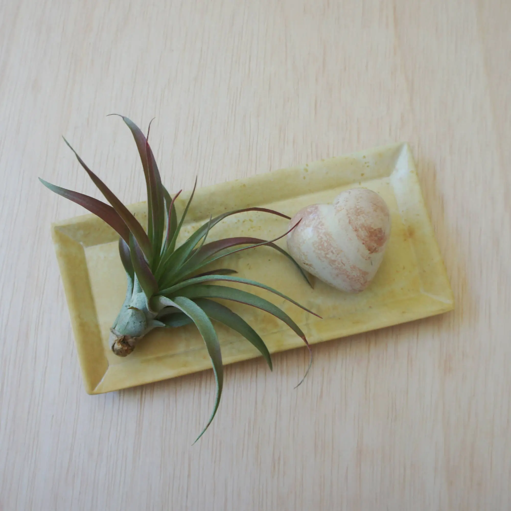Natural Rectangle Dish