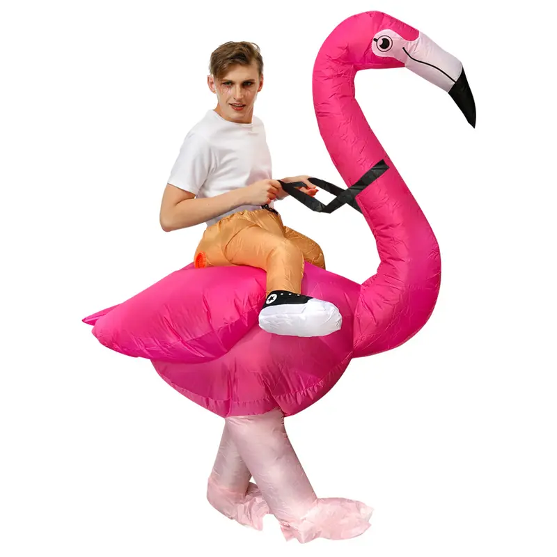 Adult flamingo