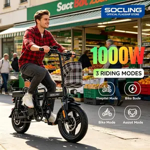 Z1 14 Inch Folding E-Bike, 1000W High-Torque Motor & 48V 15Ah Detachable Battery Up to 48 Miles, Dual Disc Brake Anti-Theft Remote Lock, LED Meter Electric Bicycle for Outdoor Adventure
