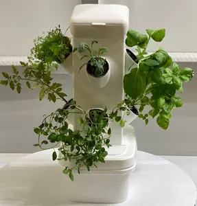 Mini EXOTOWER - 2 Tier 8 Plants Hydroponic Tabletop Tower for Indoor Gardening with 6 Month Nutrient Supply & Root Plugs for Fresh Herbs