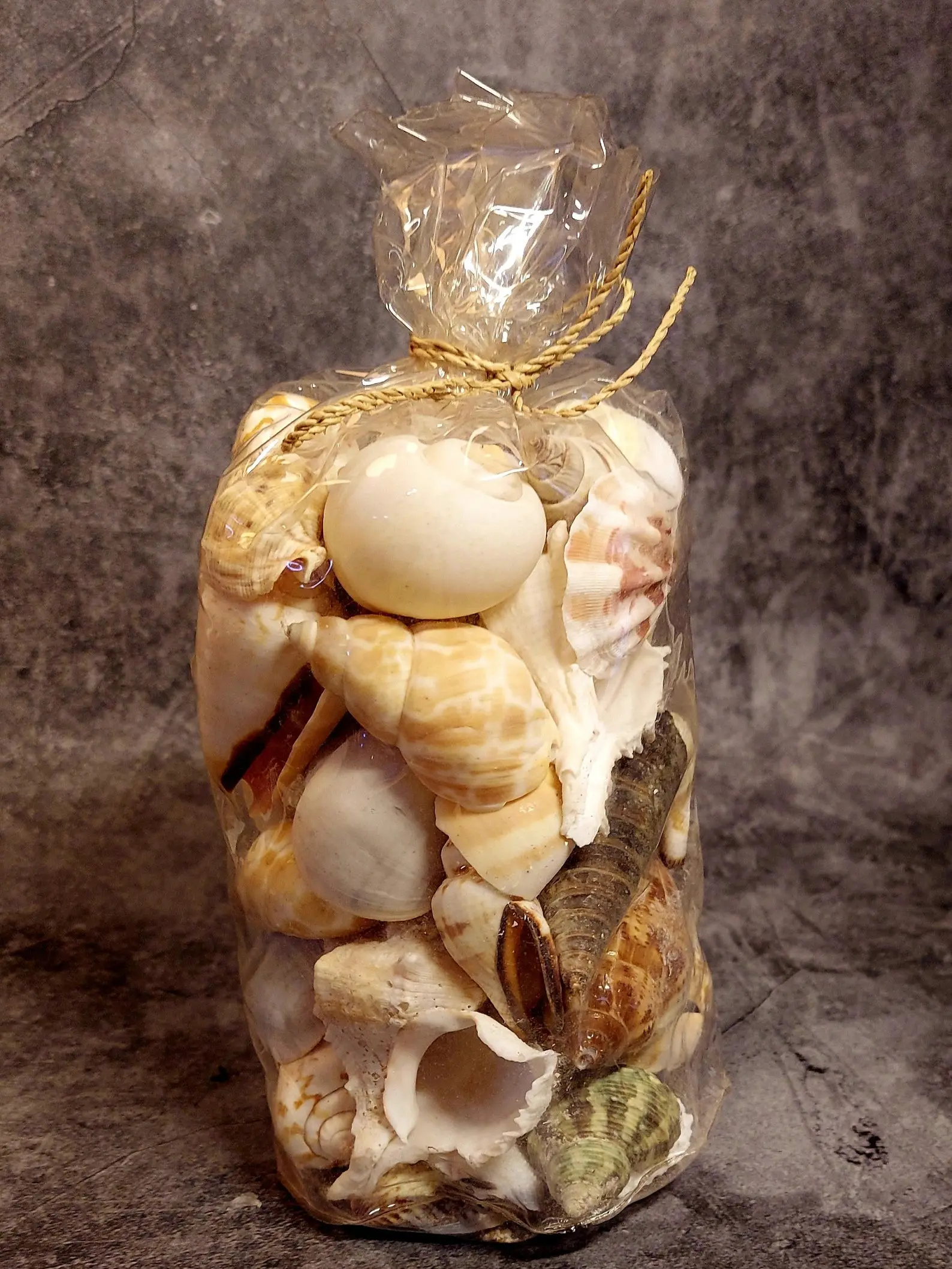 Olokun Seashells for orisha fo the sea, also for Yemaya, Otin, Yembo, Olosa Santeria adimu carga Olokun Ifa carga awan caracoles Yewa