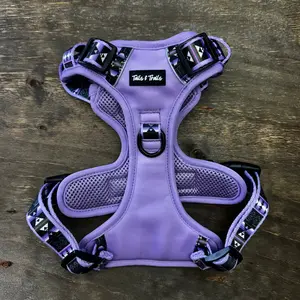 Wolfpack Adventure Harness