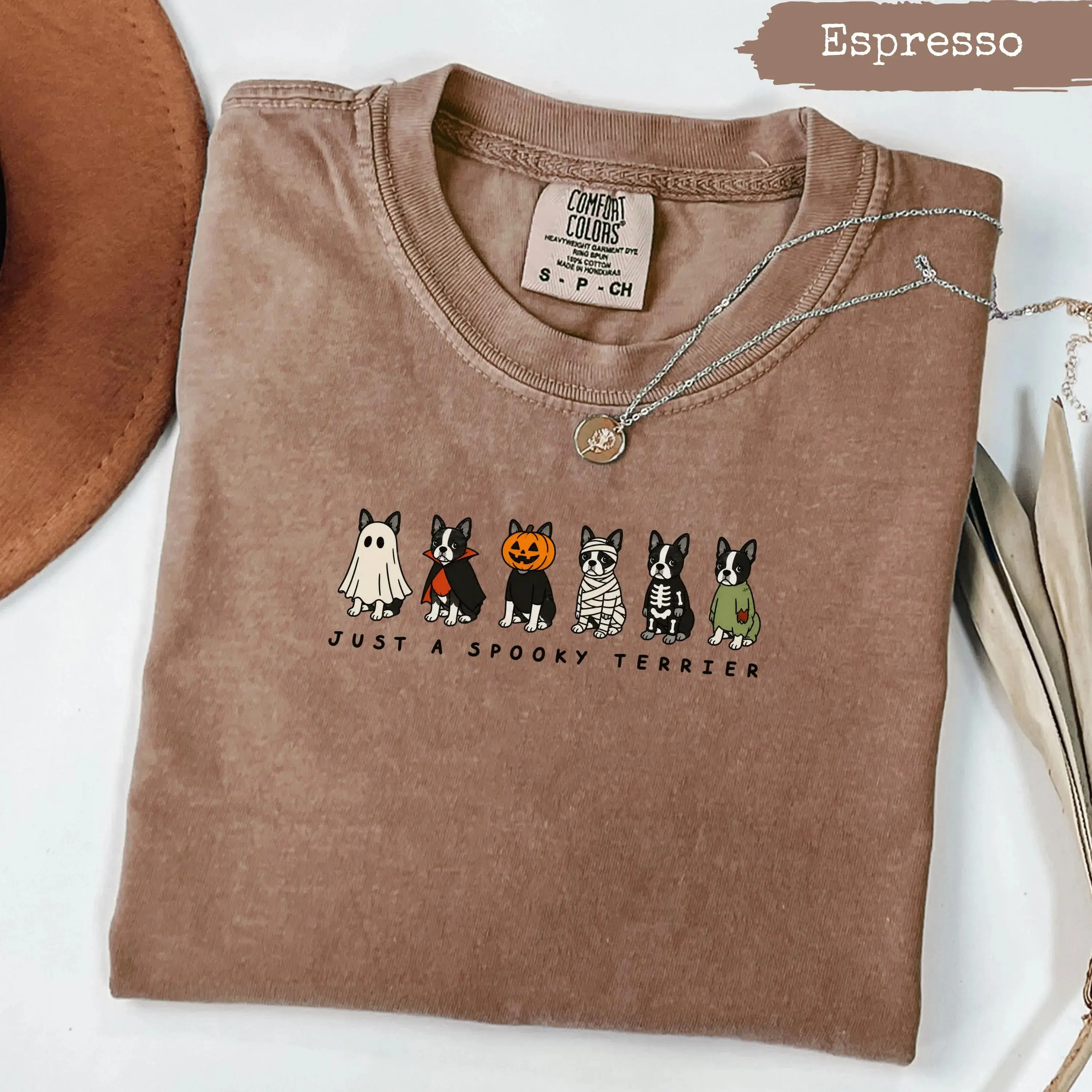 Comfort Colors Spooky Boston Terrier Halloween Costume Shirt, Cute Dog Lover Fall Graphic Tee, Funny Pet Owner Gift
