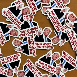 This Is What You Voted For Sticker Pack