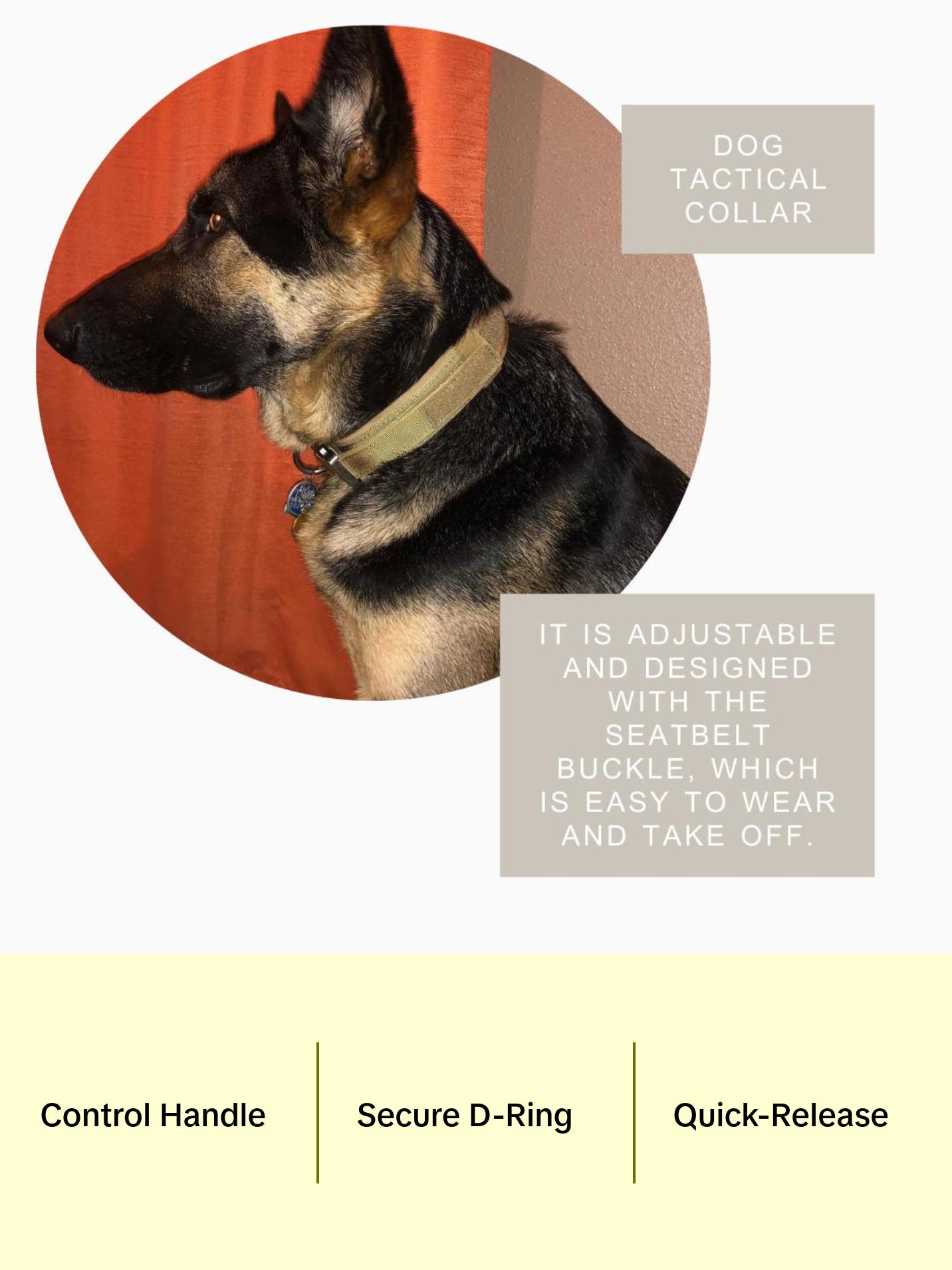 Heavy-Duty Dog Collar with Handle – Durable, Adjustable, Escape-Proof