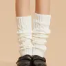 Women's 1 Pair Solid Textured Leg Warmers, Casual Warm and Cozy Leg Warmers for Fall and Winter, Daily Wear Leg Sleeves Socks