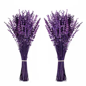 2 Bundles, Dried Purple Lavender Flowers Bundle-Dried Preserved Lavender Bouquet 15-17" for Shower Weeding Home Vase Decor, Crafts, Aromatherapy, Fragrance, Fresh Silk Dry Live Plants