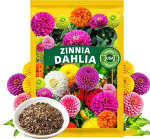 1000+ Crazy Blend Zinnia Seeds for Planting Zinnia Elegans Heirloom Open Pollinated & Untreated Mixed Color Zinnia Flowers