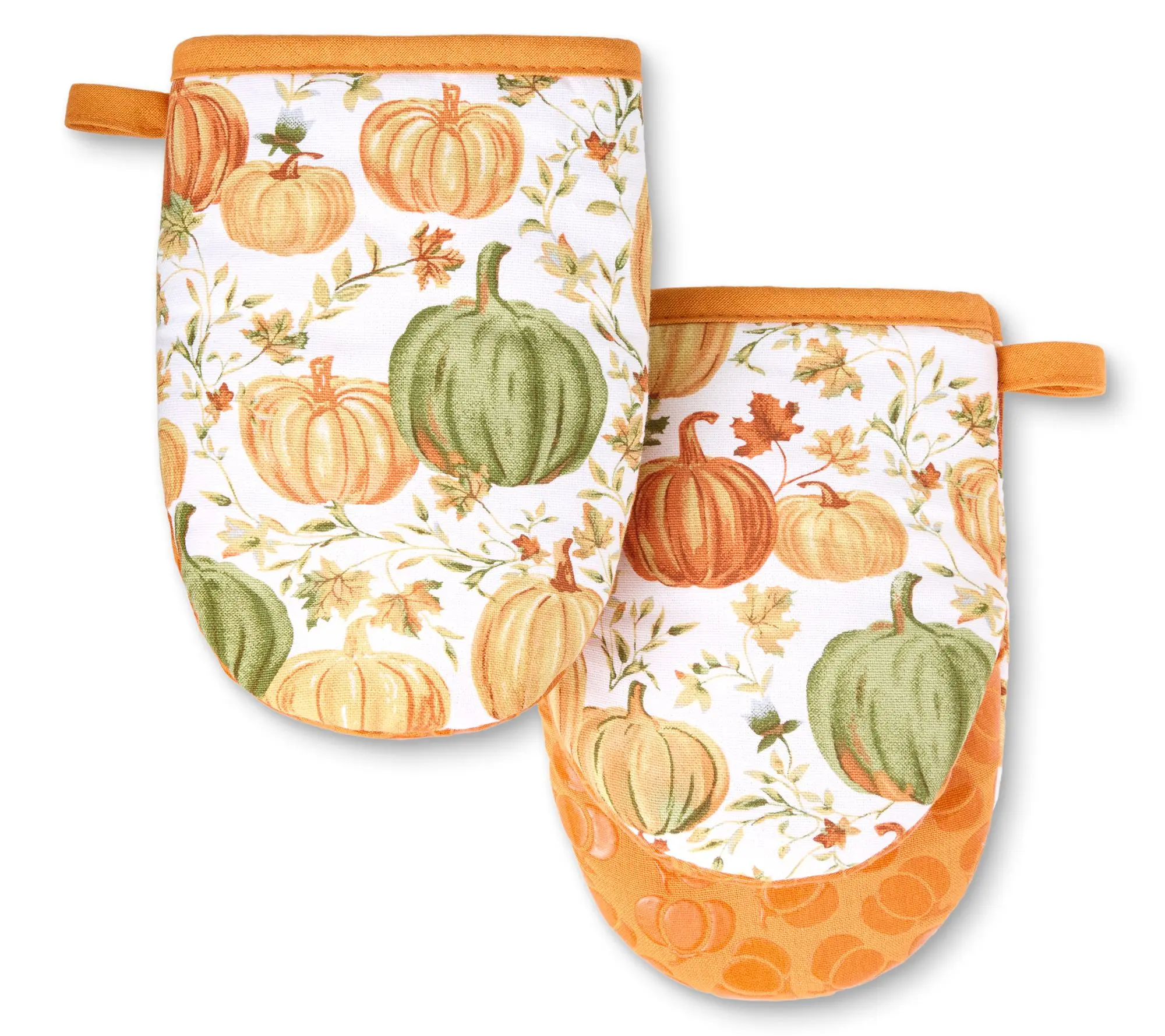 MARTHA STEWART Autumn Pumpkins Mini Oven Mitt 2-Pack Set