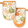 MARTHA STEWART Autumn Pumpkins Mini Oven Mitt 2-Pack Set